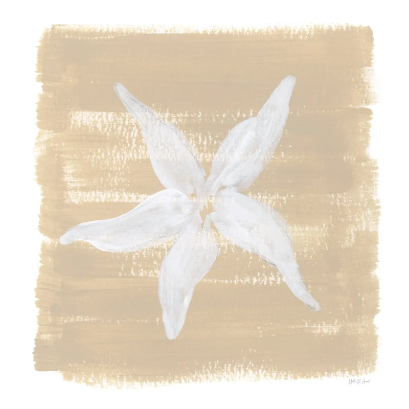 Soft Sea Starfish by Yvette St. Amant. SKU 90001a. Archival Giclee Fine art print for wall decor.