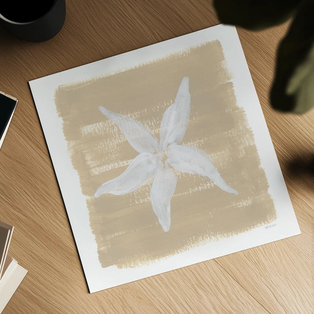 Soft Sea Starfish by Yvette St. Amant. Shown as a detailed flat fine art print, highlighting archival giclee quality. Available as an archival giclee rolled canvas, fine art paper, or poster print. SKU 90001a.