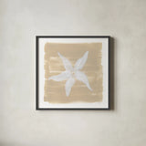 Soft Sea Starfish by Yvette St. Amant. Shown in a sleek black glass frame for a contemporary gallery look. Available as an archival giclee rolled canvas, fine art paper, or poster print. SKU 90001a.