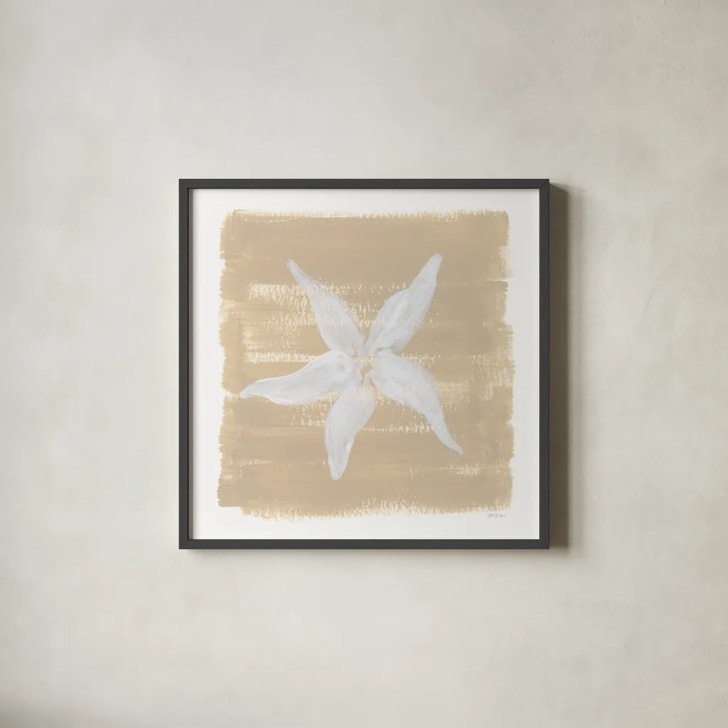 Soft Sea Starfish by Yvette St. Amant. Shown in a sleek black glass frame for a contemporary gallery look. Available as an archival giclee rolled canvas, fine art paper, or poster print. SKU 90001a.