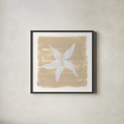 Soft Sea Starfish by Yvette St. Amant. Shown in a sleek black glass frame for a contemporary gallery look. Available as an archival giclee rolled canvas, fine art paper, or poster print. SKU 90001a.