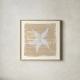 Soft Sea Starfish by Yvette St. Amant. Shown in a natural wood glass frame for a timeless modern aesthetic. Available as an archival giclee rolled canvas, fine art paper, or poster print. SKU 90001a.