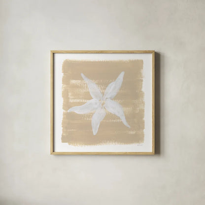 Soft Sea Starfish by Yvette St. Amant. Shown in a natural wood glass frame for a timeless modern aesthetic. Available as an archival giclee rolled canvas, fine art paper, or poster print. SKU 90001a.