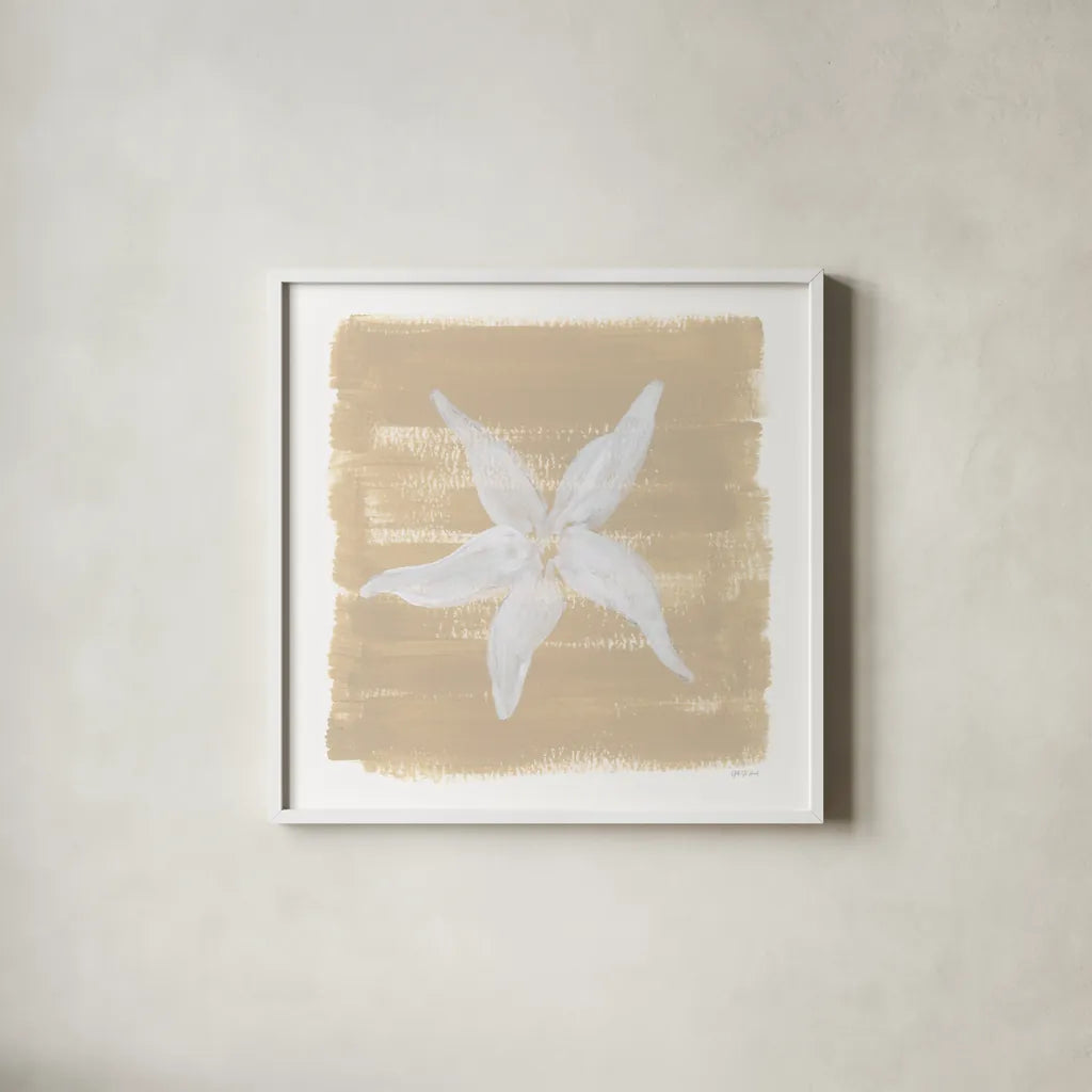 Soft Sea Starfish by Yvette St. Amant. Shown in a crisp white glass frame for a clean and minimalist style. Available as an archival giclee rolled canvas, fine art paper, or poster print. SKU 90001a.