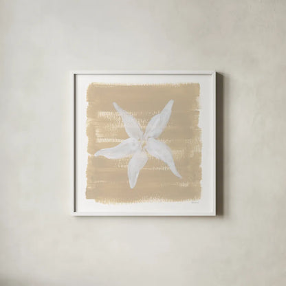 Soft Sea Starfish by Yvette St. Amant. Shown in a crisp white glass frame for a clean and minimalist style. Available as an archival giclee rolled canvas, fine art paper, or poster print. SKU 90001a.
