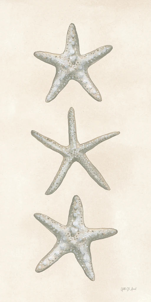 Trio of Starfish by Yvette St. Amant