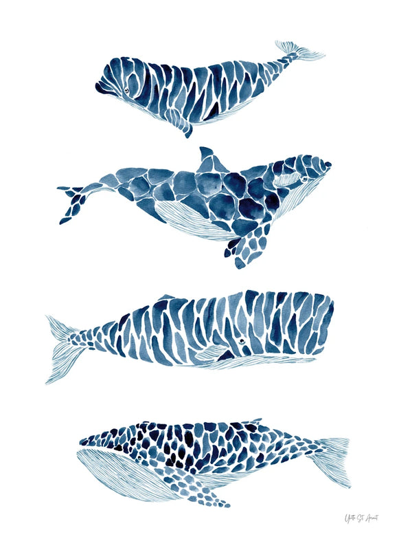 Whales by Yvette St. Amant
