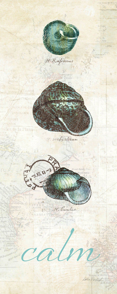 Reproduction of Touch of Blue Shells II by Katie Pertiet - Wall Decor Art