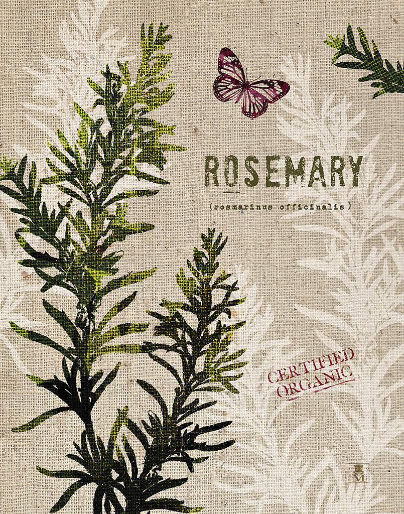 Reproduction of Organic Rosemary by Studio Mousseau - Wall Decor Art