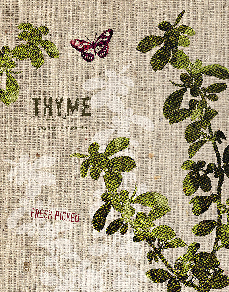 Reproduction of Organic Thyme by Studio Mousseau - Wall Decor Art