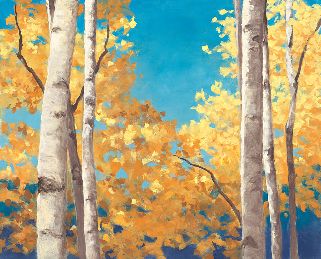 Reproduction of Doubloons by Julia Purinton - Wall Decor Art