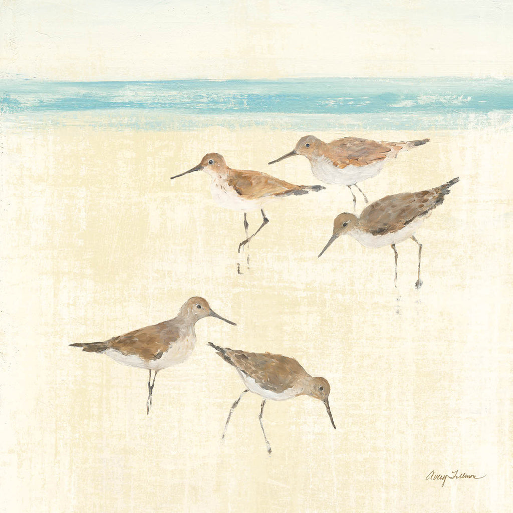 Reproduction of Sandpipers Square II by Avery Tillmon - Wall Decor Art