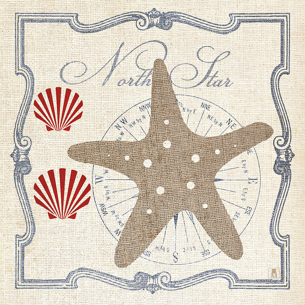 Reproduction of Pacific Starfish by Studio Mousseau - Wall Decor Art
