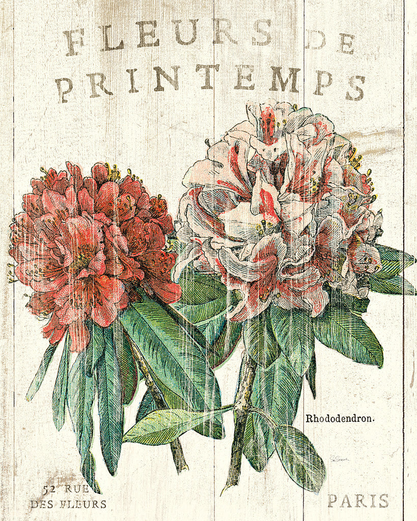 Reproduction of Fleur de Printemps by Sue Schlabach - Wall Decor Art
