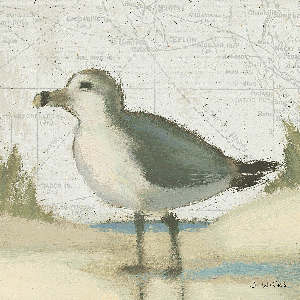 Reproduction of Beach Bird II by James Wiens - Wall Decor Art