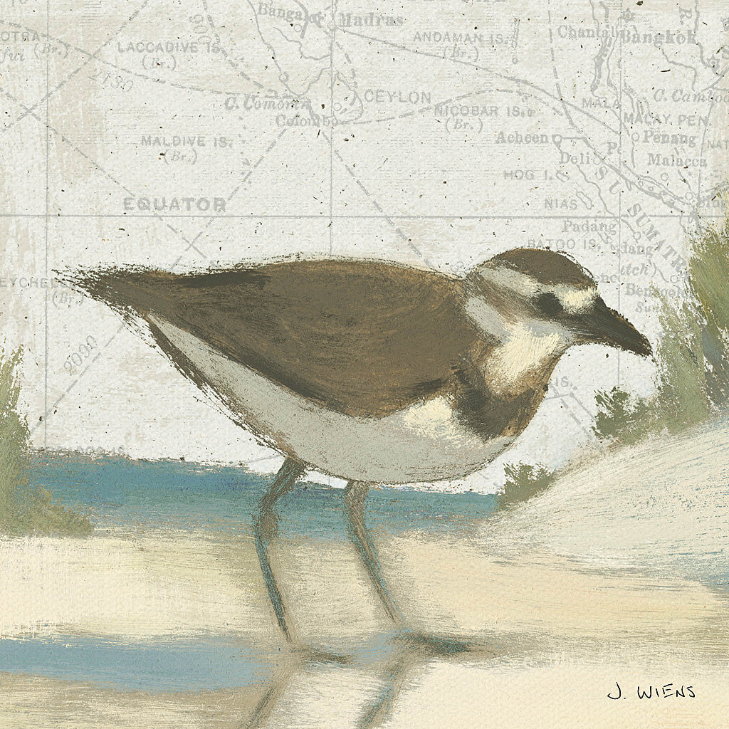 Reproduction of Beach Bird III by James Wiens - Wall Decor Art