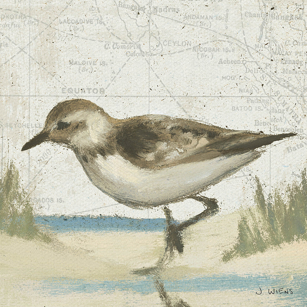 Reproduction of Beach Bird IV by James Wiens - Wall Decor Art