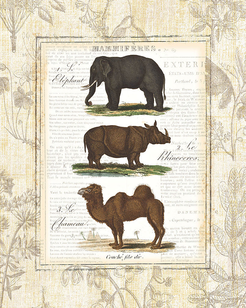 Reproduction of African Animals II by Wild Apple Portfolio - Wall Decor Art