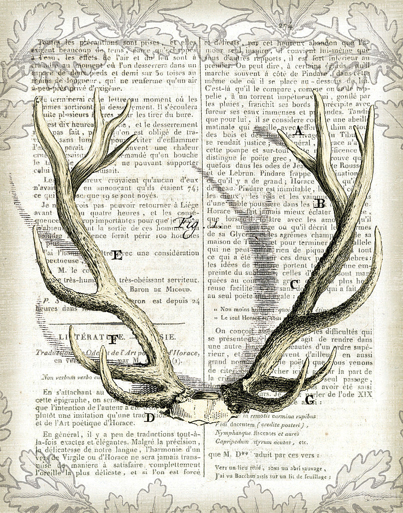Reproduction of Regal Antlers on Newsprint I by Sue Schlabach - Wall Decor Art
