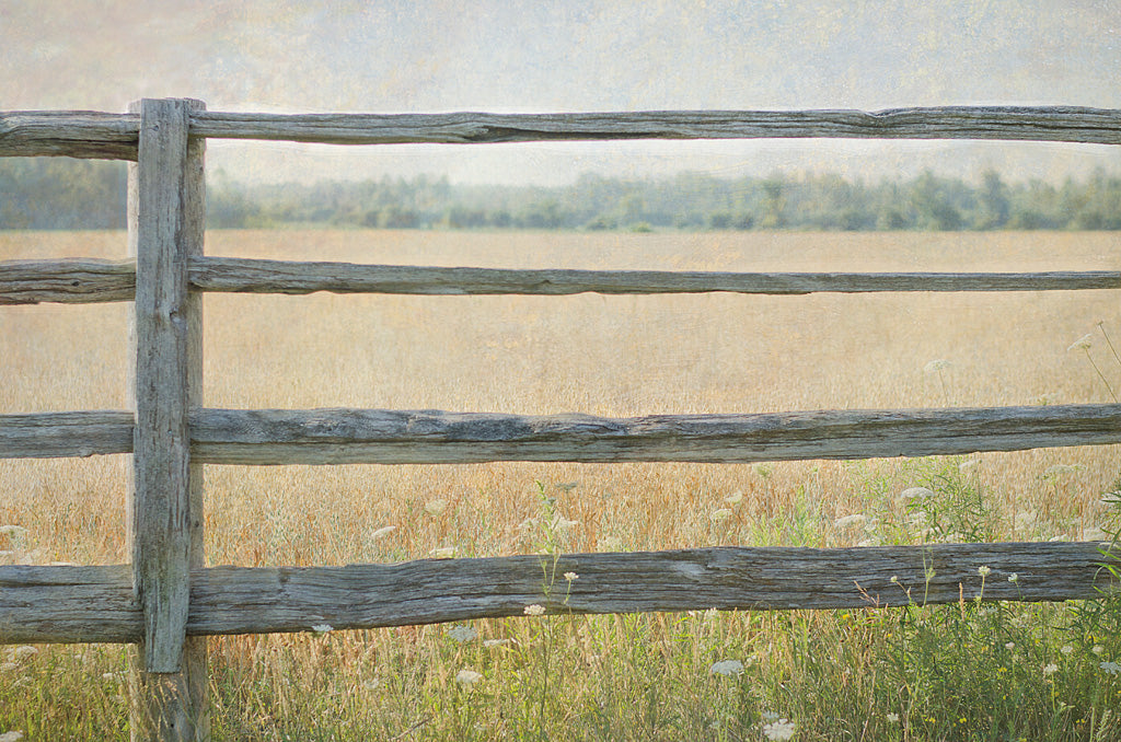 Reproduction of Edge of the Field by Elizabeth Urquhart - Wall Decor Art
