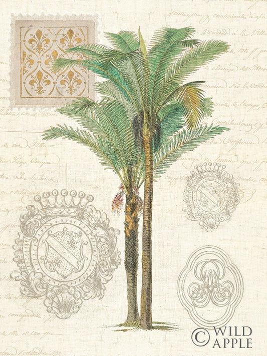 Reproduction of Vintage Palm Study II by Wild Apple Portfolio - Wall Decor Art