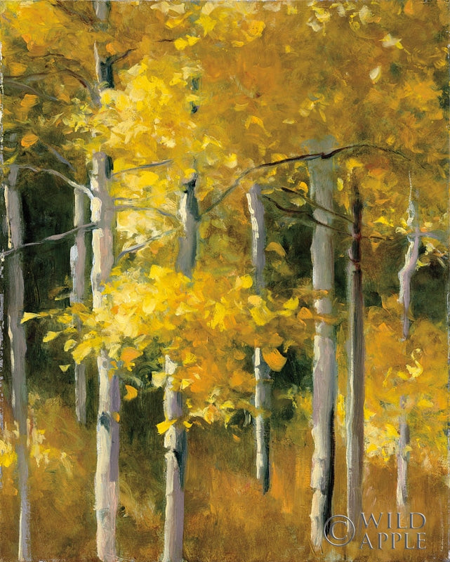 Reproduction of Golden Birches by Julia Purinton - Wall Decor Art