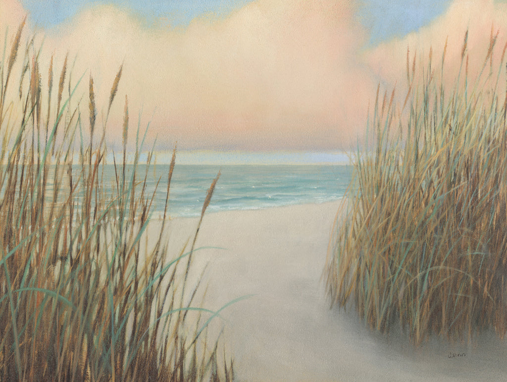 Reproduction of Beach Trail I Crop by James Wiens - Wall Decor Art