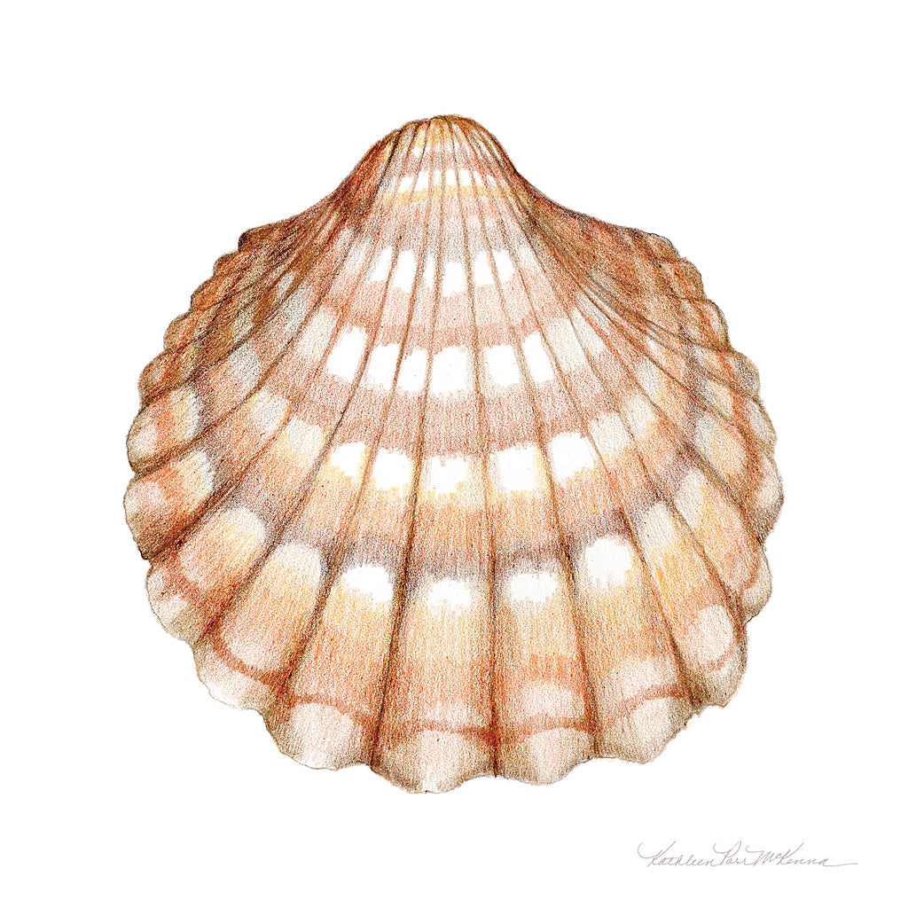 Reproduction of Shells III by Kathleen Parr McKenna - Wall Decor Art