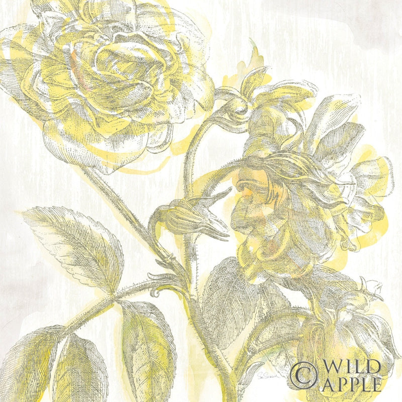 Reproduction of Belle Fleur Yellow I by Sue Schlabach - Wall Decor Art