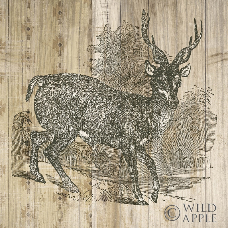 Reproduction of Natural History Lodge III by Wild Apple Portfolio - Wall Decor Art