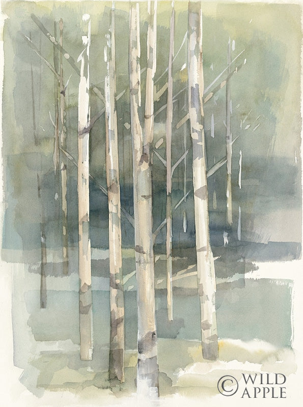 Reproduction of Birch Grove I by Avery Tillmon - Wall Decor Art