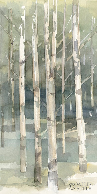 Reproduction of Birch Grove I Crop by Avery Tillmon - Wall Decor Art
