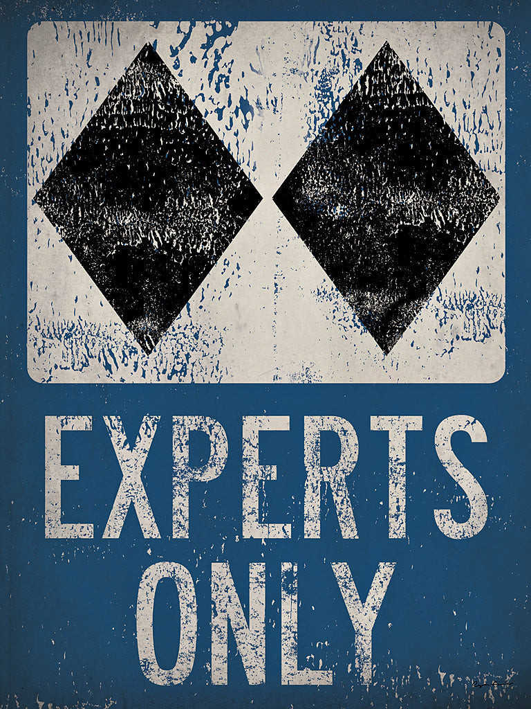 Reproduction of Experts Only Blue by Ryan Fowler - Wall Decor Art