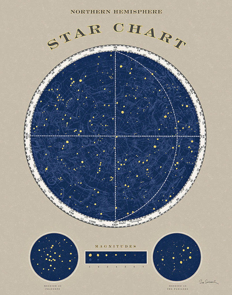Reproduction of Northern Star Chart by Sue Schlabach - Wall Decor Art