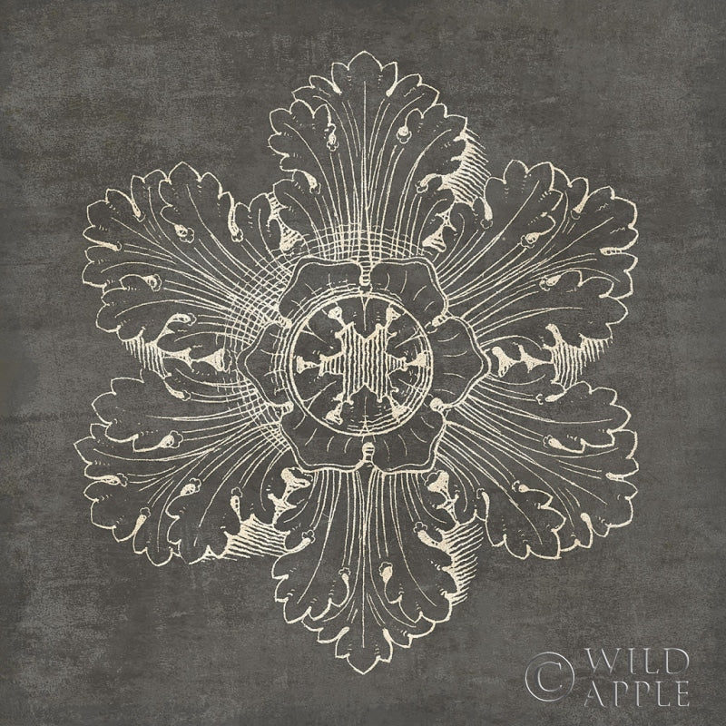 Reproduction of Rosette V Gray by Wild Apple Portfolio - Wall Decor Art
