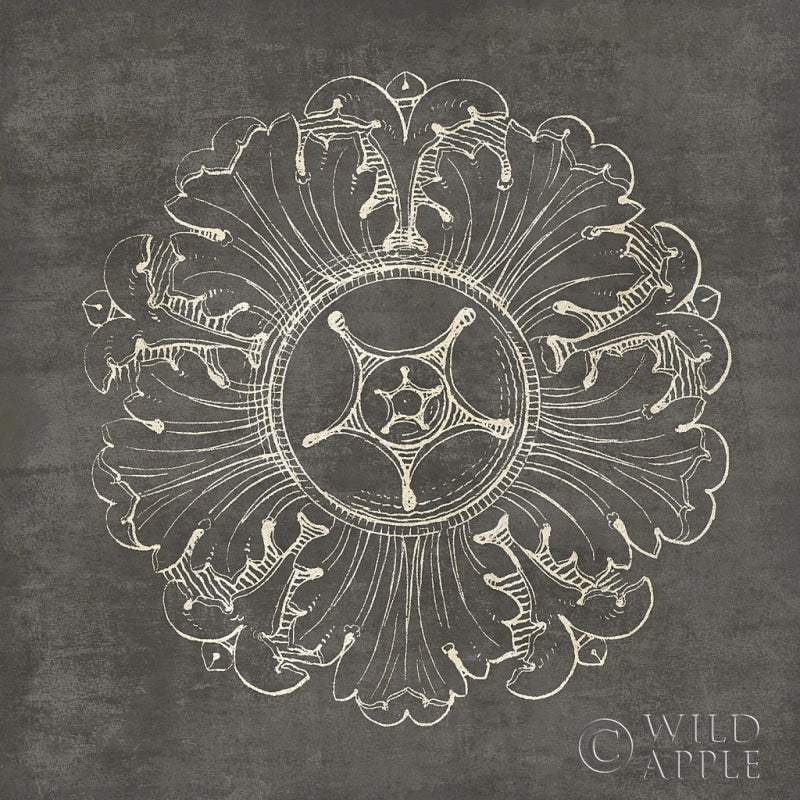 Reproduction of Rosette VI Gray by Wild Apple Portfolio - Wall Decor Art