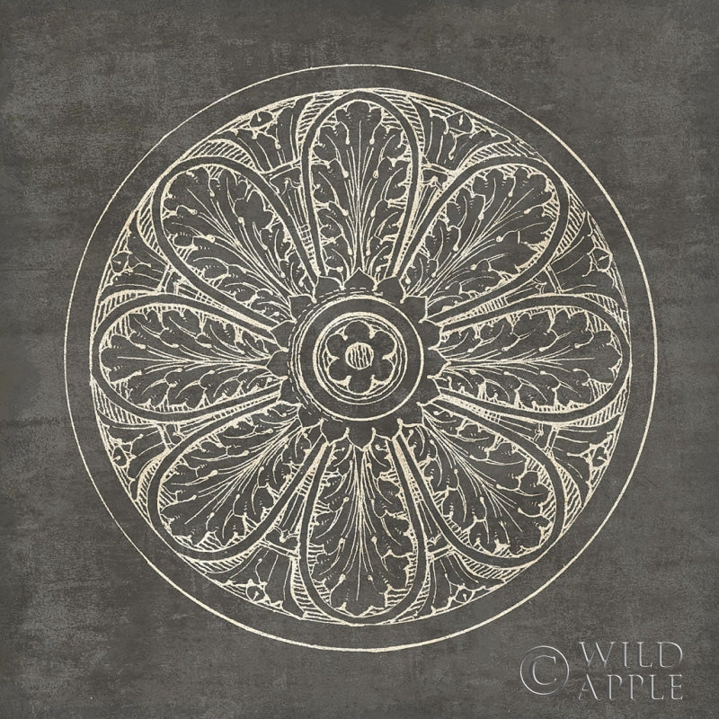 Reproduction of Rosette VIII Gray by Wild Apple Portfolio - Wall Decor Art