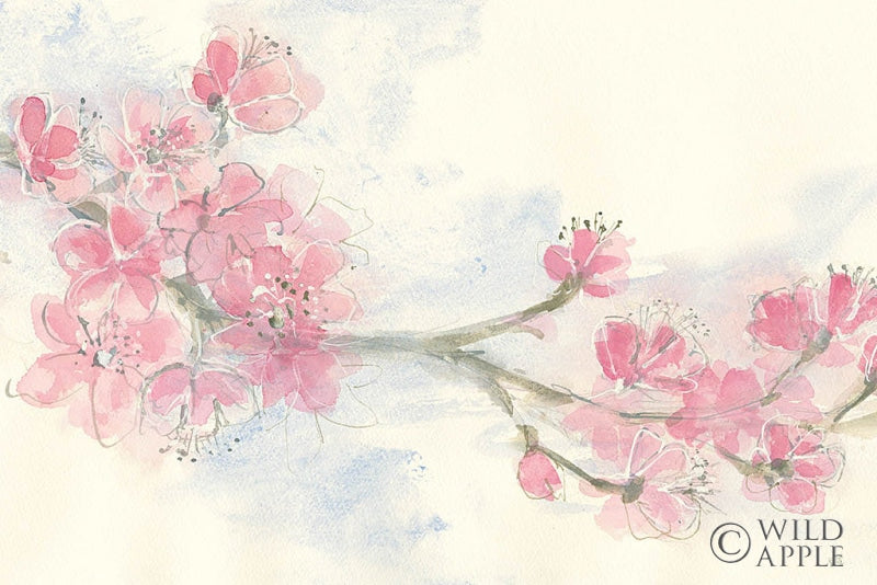 Reproduction of Cherry Blossoms II Crop by Chris Paschke - Wall Decor Art