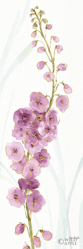 Reproduction of Rainbow Seeds Flowers VII by Lisa Audit - Wall Decor Art