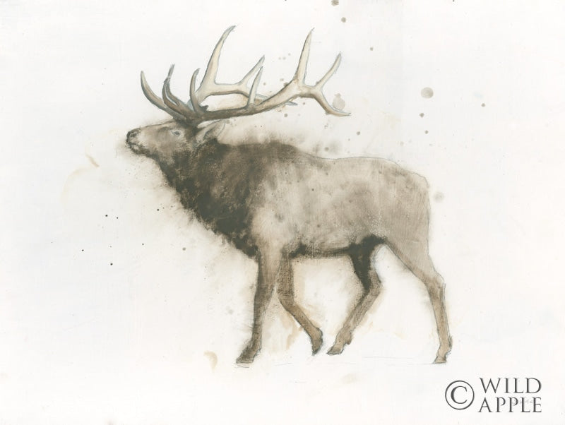 Reproduction of Elk by James Wiens - Wall Decor Art