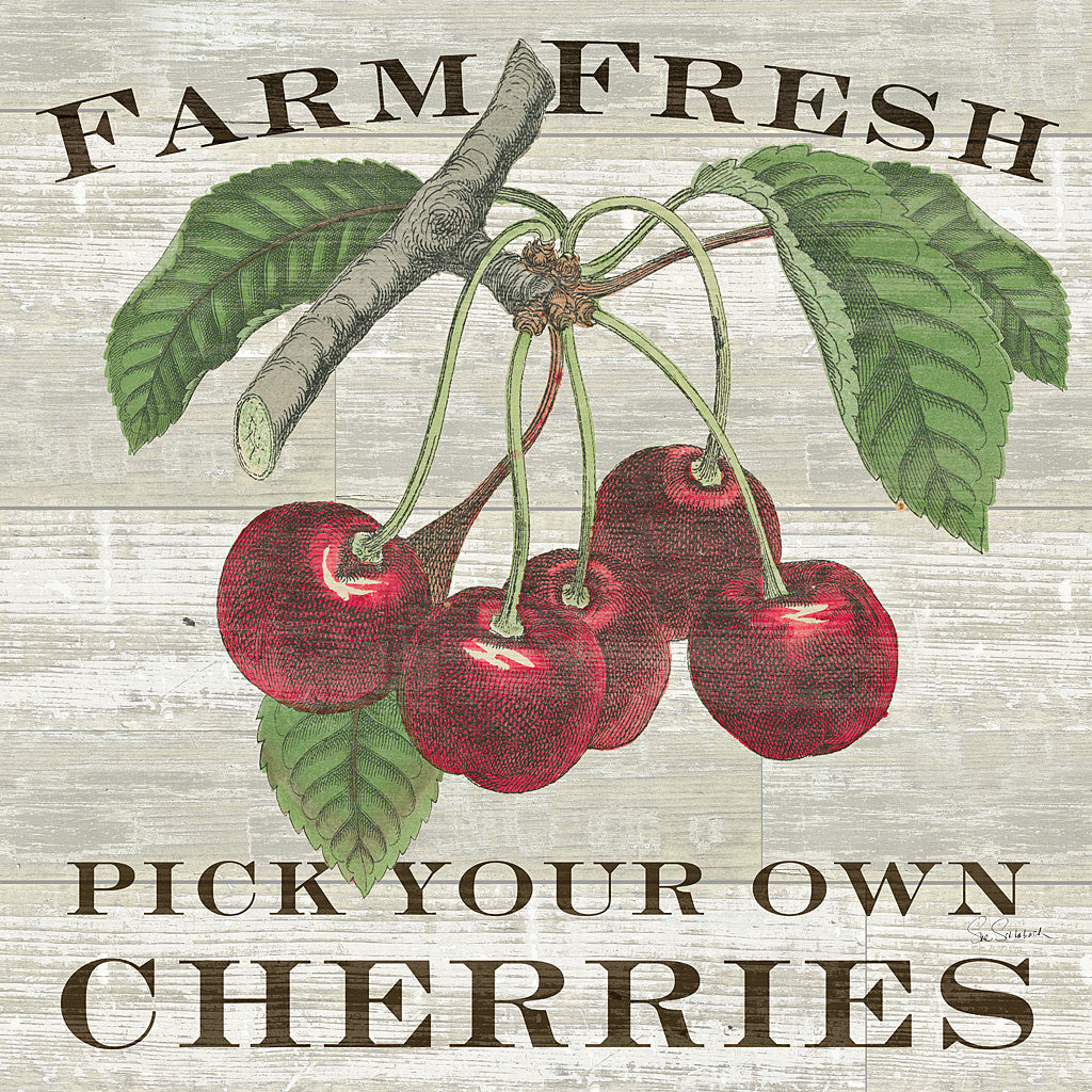 Reproduction of Farm Fresh Cherries Square by Sue Schlabach - Wall Decor Art