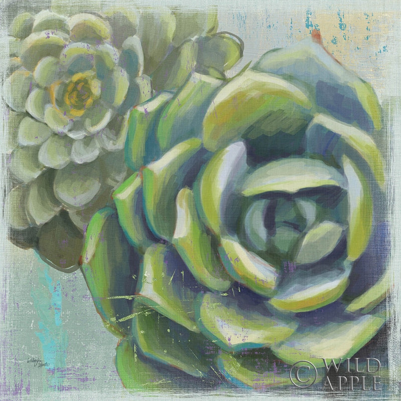 Reproduction of Succulents II by Wellington Studio - Wall Decor Art