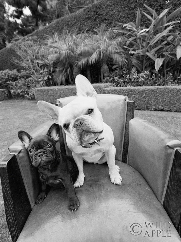 Reproduction of Always Friends by Jim Dratfield - Wall Decor Art