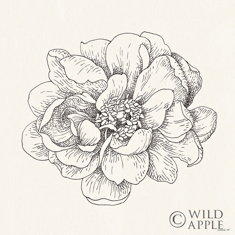 Reproduction of Pen and Ink Florals IV by Danhui Nai - Wall Decor Art