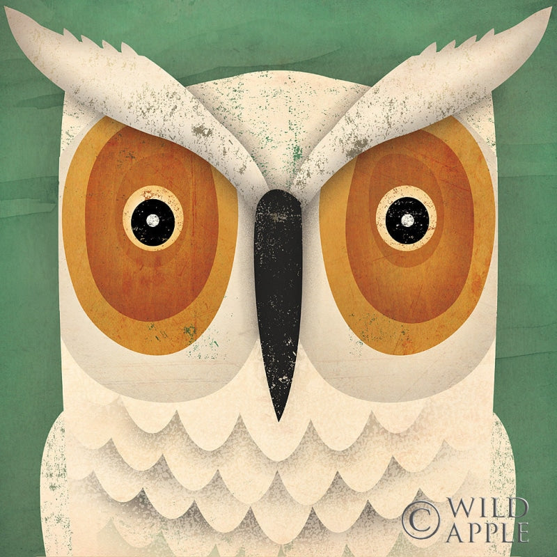 Reproduction of White Owl by Ryan Fowler - Wall Decor Art