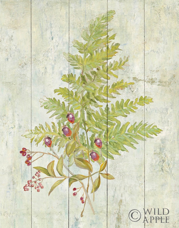Reproduction of Natural Floral XII by Danhui Nai - Wall Decor Art
