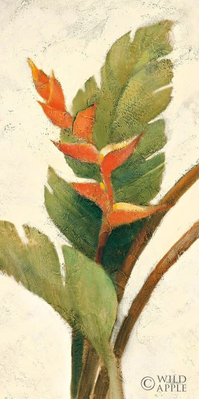 Reproduction of Halconia Blossom on White by Albena Hristova - Wall Decor Art