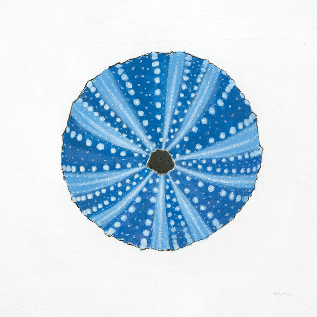 Reproduction of Navy Circular Shell by Emily Adams - Wall Decor Art