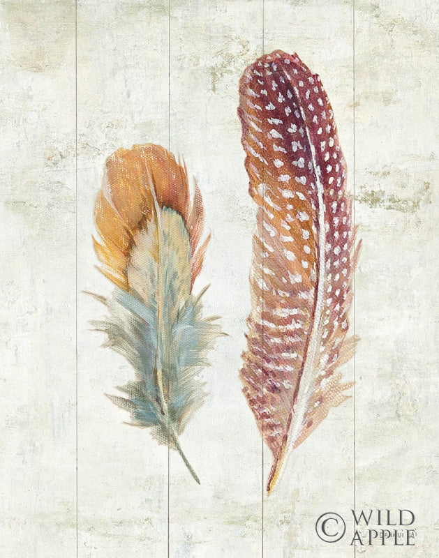 Reproduction of Natural Flora XI Bold Feathers by Danhui Nai - Wall Decor Art