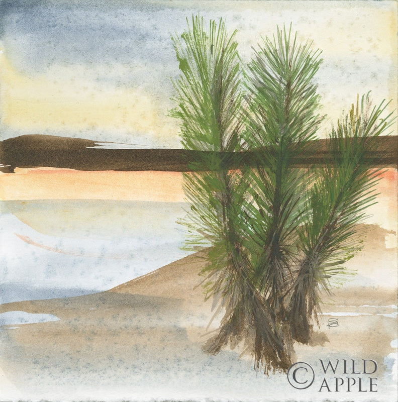 Reproduction of Desert Yucca by Chris Paschke - Wall Decor Art